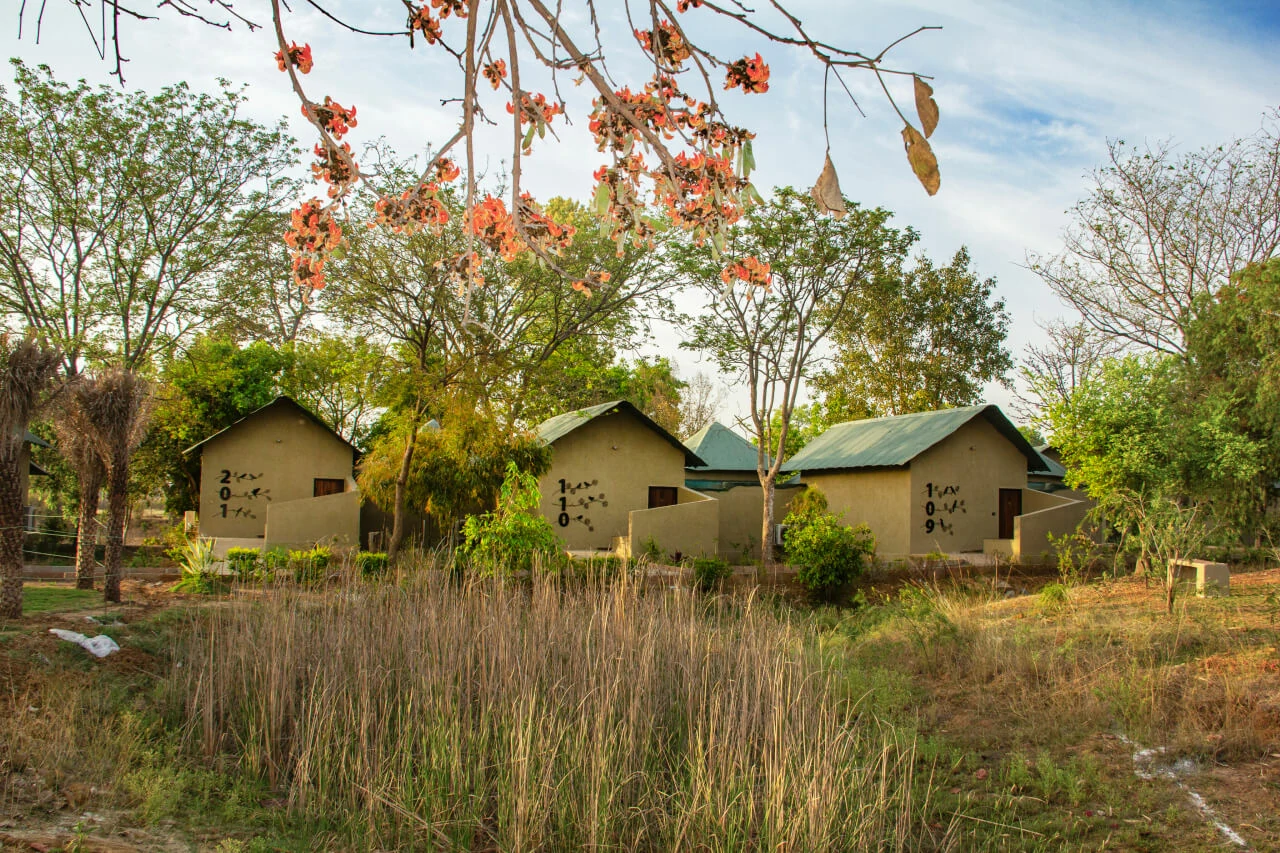 Bandhavgarh preview